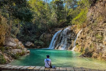 Join Tour Monjam + Elefin Farm + Cypress Lanes + Wat Pha Lat + Doi sutep (Meeting Point at Night Bazaar Meet the guide in front of McDonald’s Exchange)