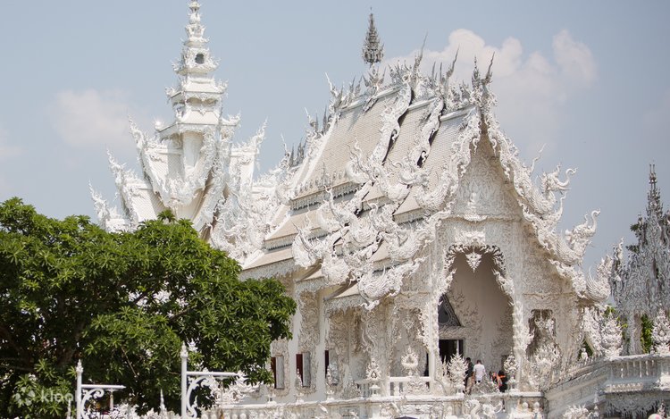Join Tour [Chiang Rai Day Tour] Hot Spring & White Temple & Blue Temple & Huay Pla Kang Temple (Meeting Point at Night Bazaar Meet the guide in front of McDonald’s Exchange)