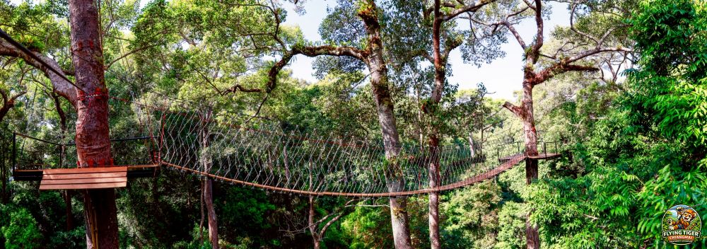 Flying Tiger Zipline Chiang Mai