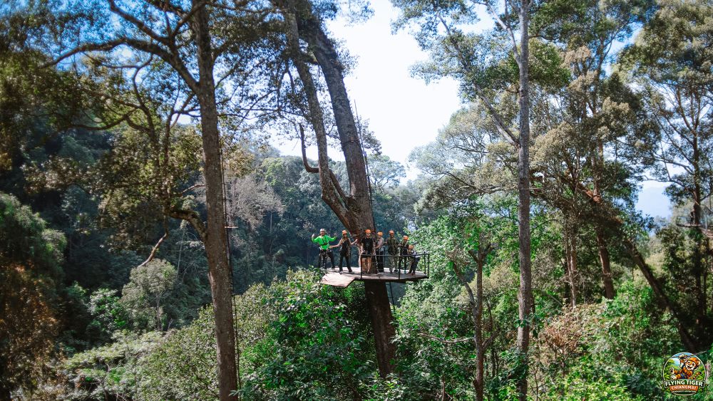 Flying Tiger Zipline Chiang Mai