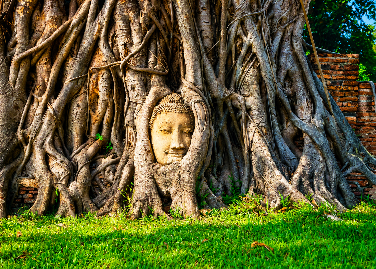 Join tour Bangkok: Ayutthaya UNESCO Temples, Cultural Activities, Boat include share transfer