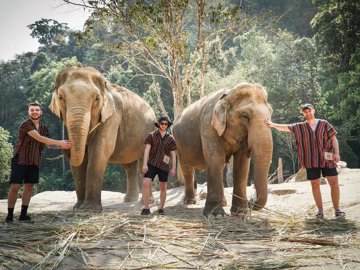 Elephant Jungle Sanctuary - Chiang Mai
