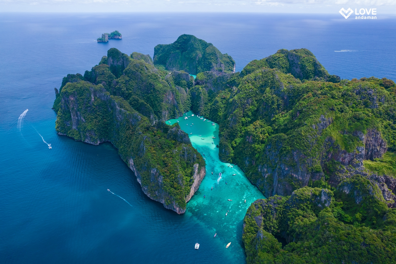 Day Trip Phi Phi and Bamboo - INCLUDE SHARE TRANSFER