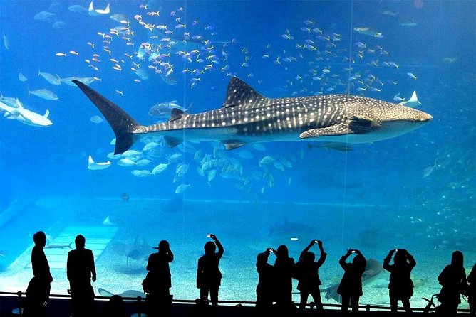 SeaLife Bangkok