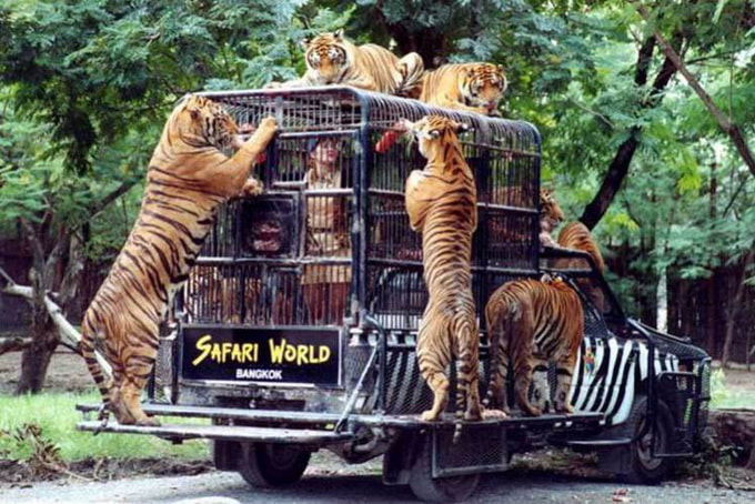 Safari World Bangkok Include Private Transfer. (Major Area in Bangkok and Extra Area in Bangkok)