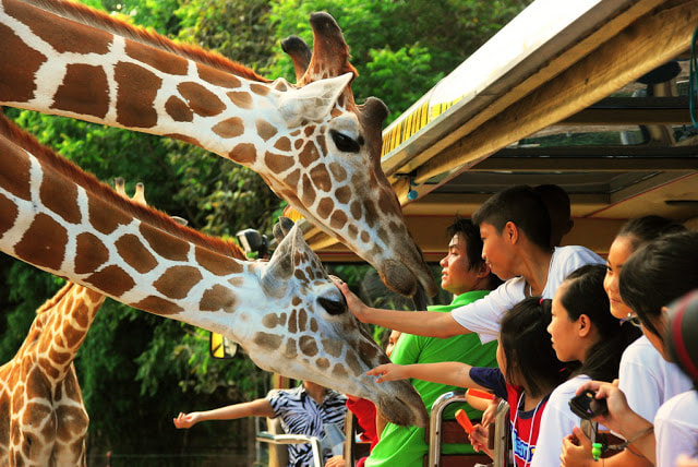 Safari World Bangkok Include Private Transfer. (Major Area in Bangkok and Extra Area in Bangkok)