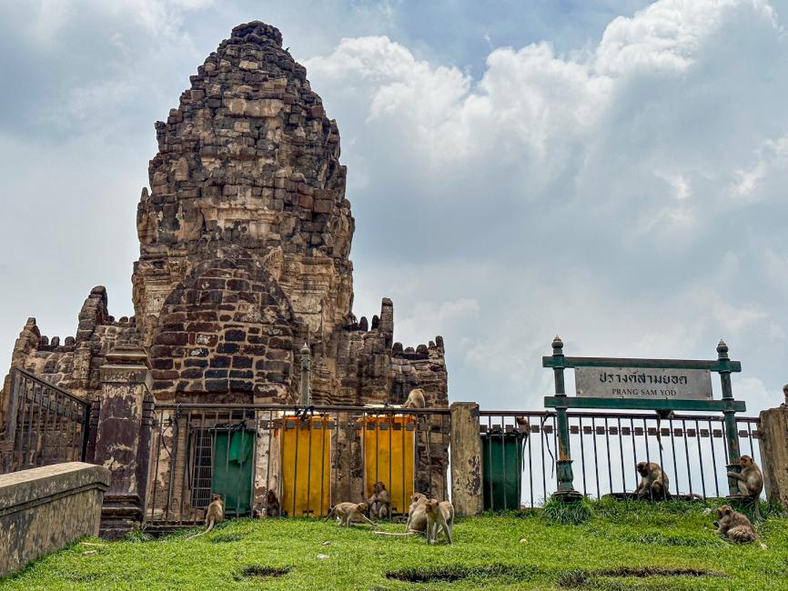 Unseen Lopburi: The Land of Monkey