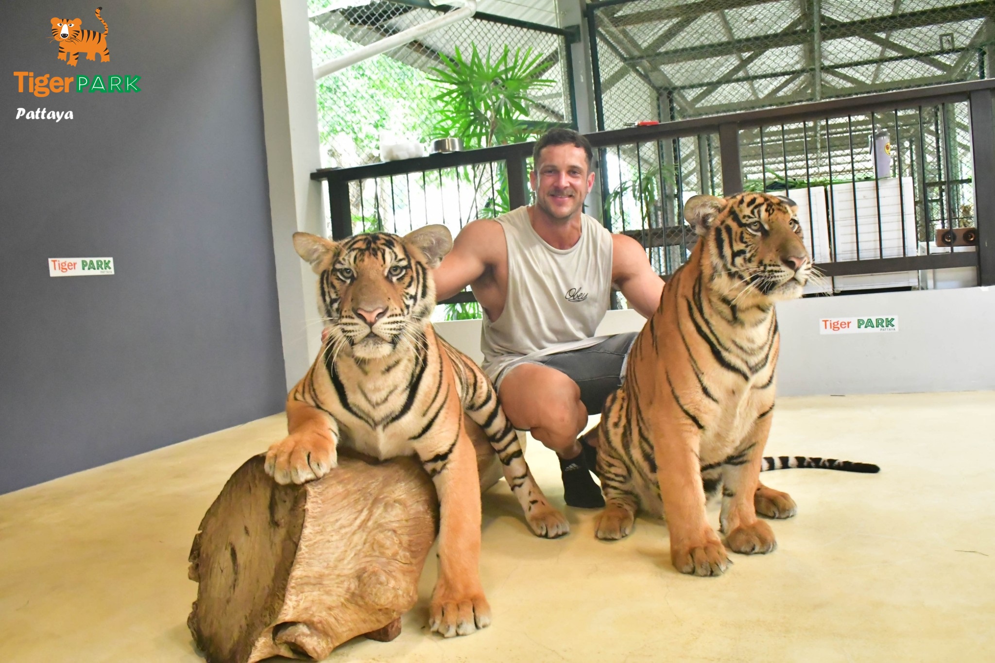 Tiger Park Pattaya