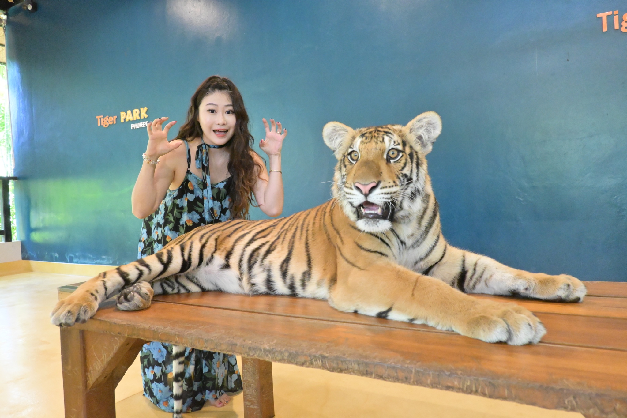 Join Tour Phuket City Tour: Tiger, Big Buddha, Chalong Temple