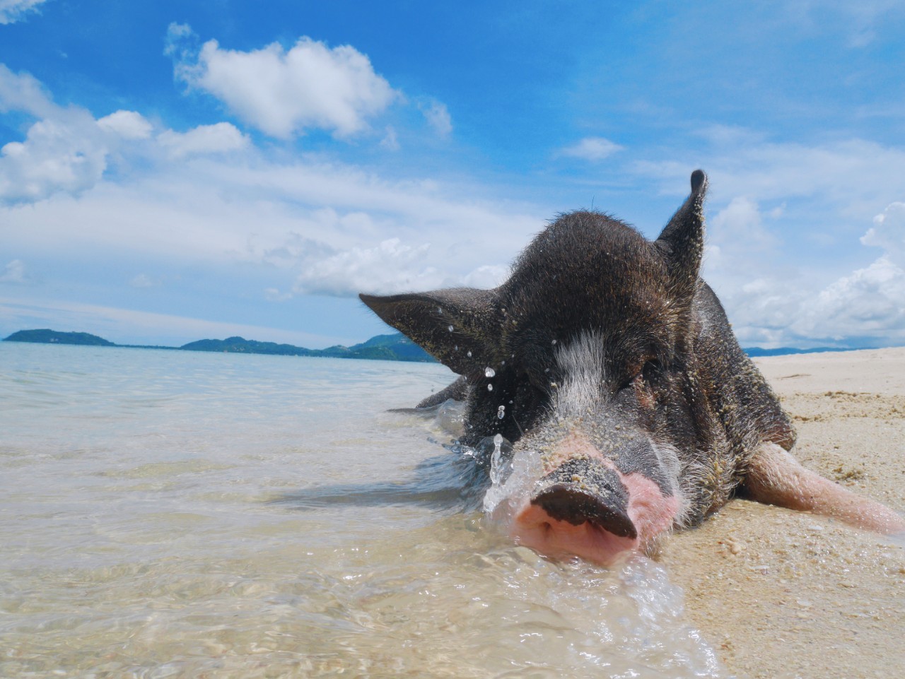 Join Tour Koh Tan & Koh Mudsum by Speedboat from Samui