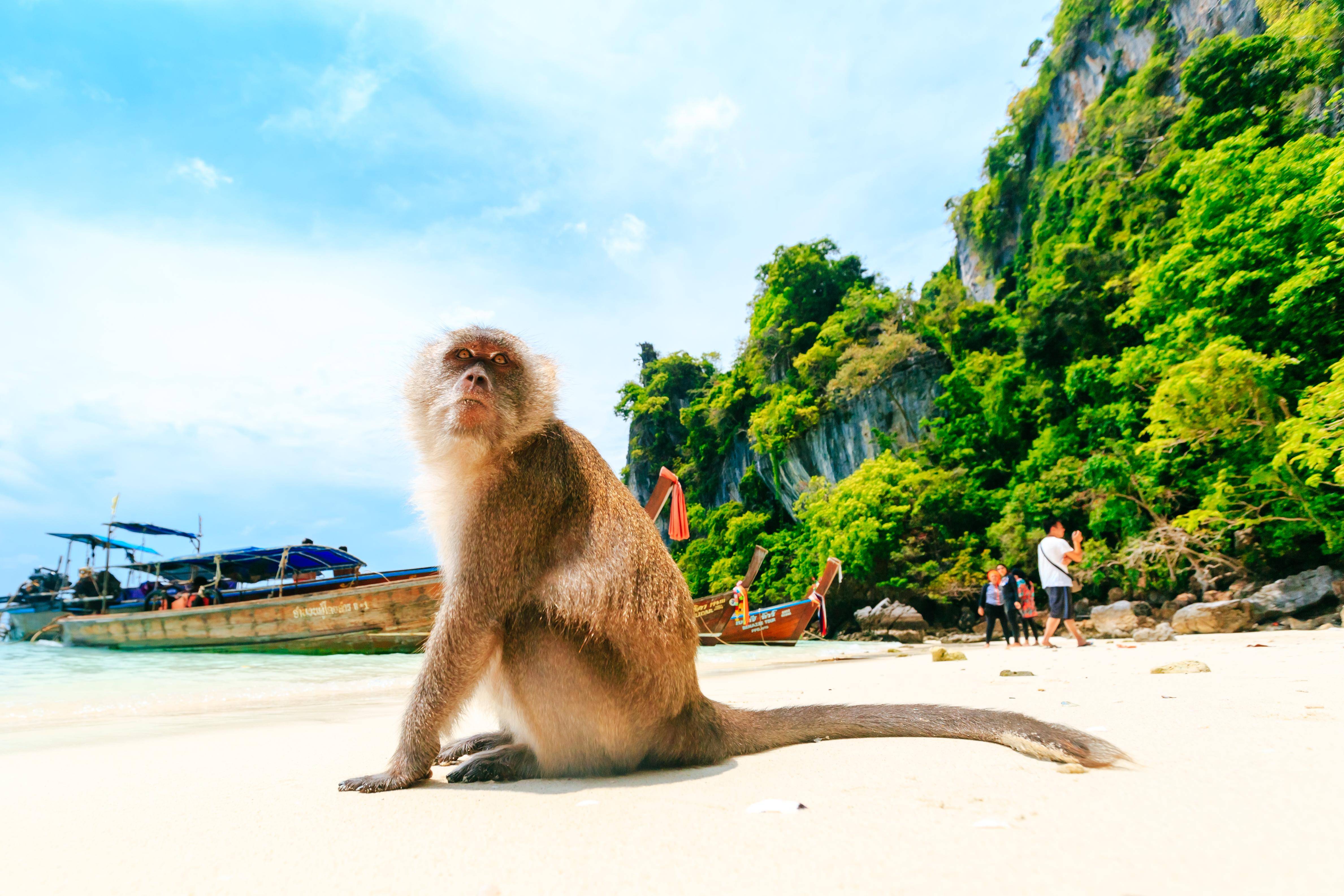 Join Tour Phi Phi Island One Day Trip by Speedboat from Krabi