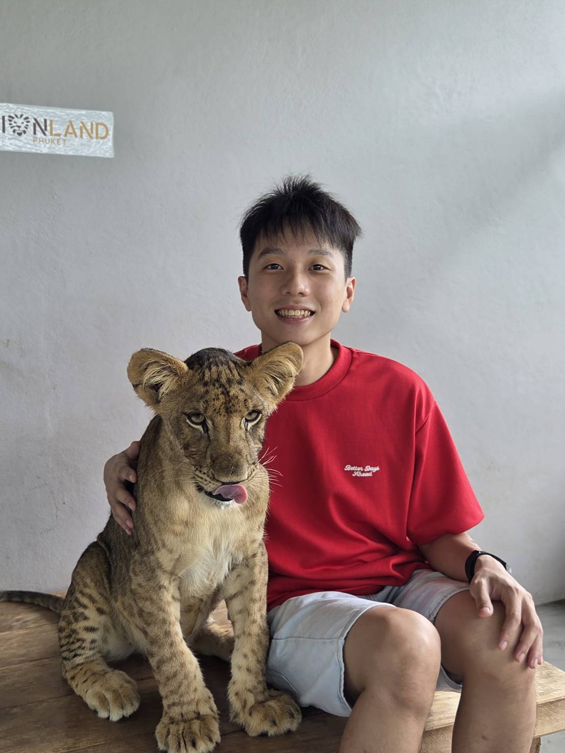 Lion Land Phuket