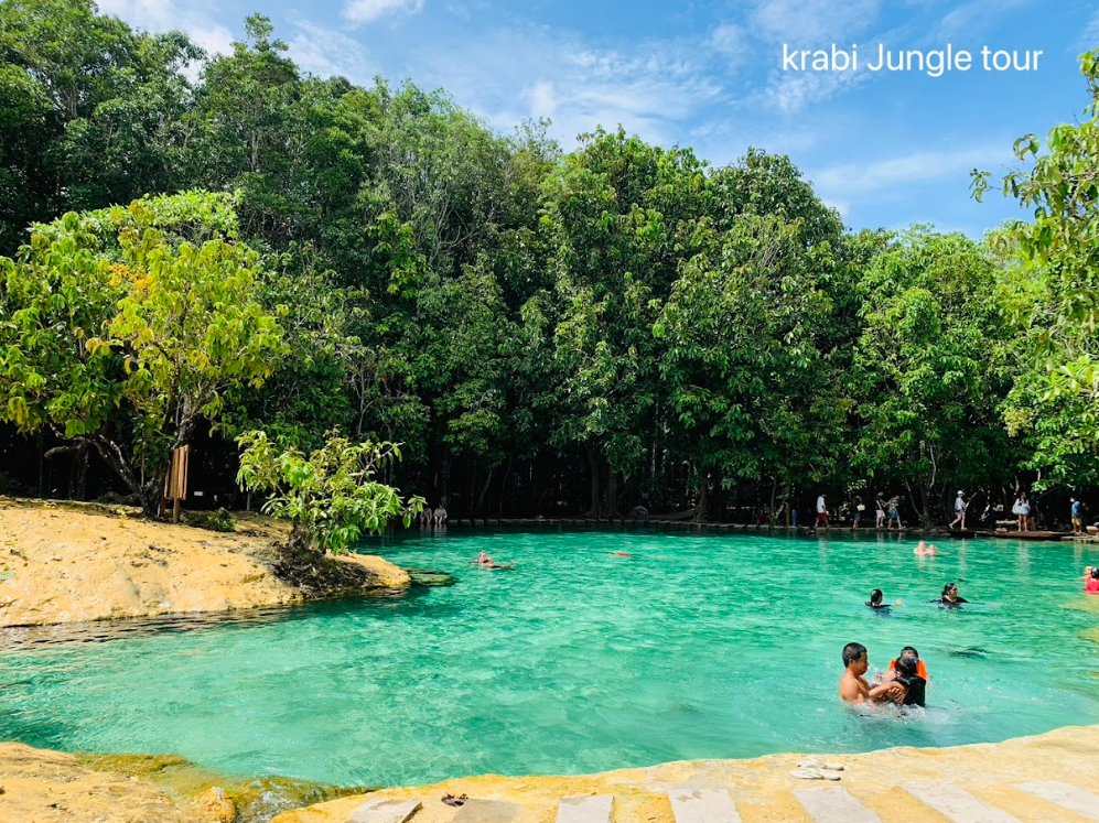 Join Tour Jungle Day Tour Hot Spring + Emerald Pool + Lunch Set + Tiger Cave Temple (Excluded National Park Fee)