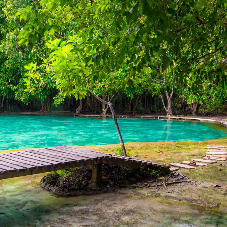 Join Tour Jungle Day Tour Hot Spring + Emerald Pool + Lunch Set + Tiger Cave Temple (Excluded National Park Fee)