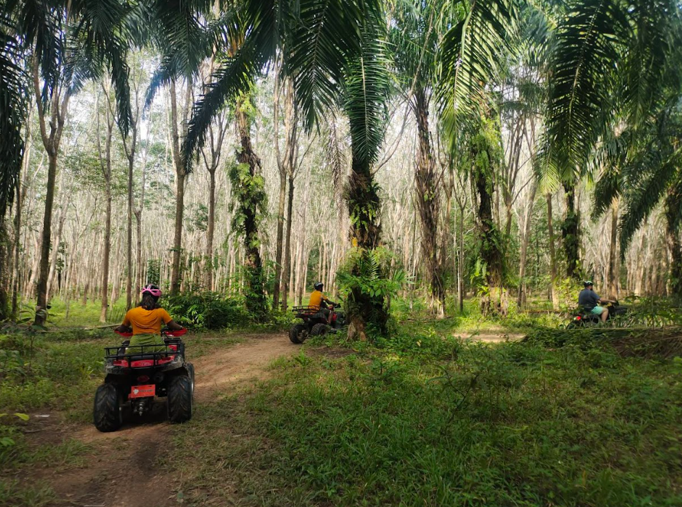 Join Tour Day Trip / Half Day Trip Kayaking Krabi