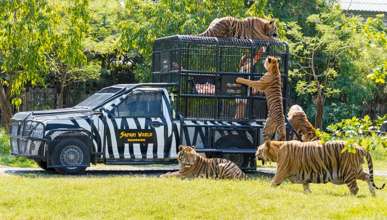 Safari World and Marine Park with lunch (Included Share transfer)