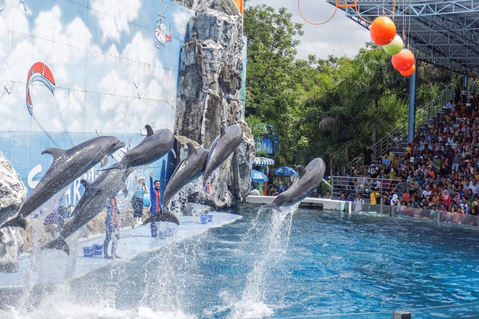 Safari World and Marine Park with lunch (Included Share transfer)