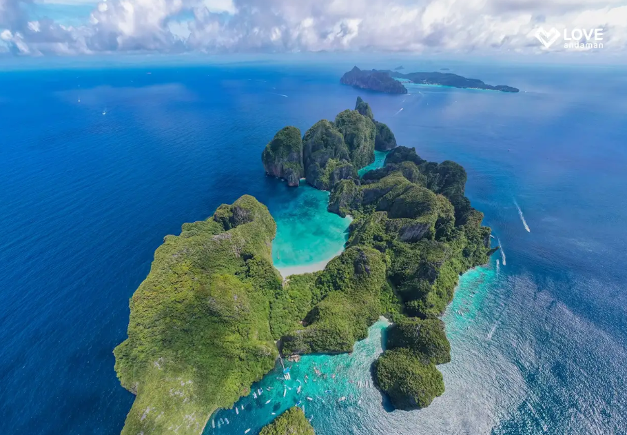 Phi Phi Islands + Maya Bay + Maiton Island Sunset Premium Speed Catamaran Day Tour (Whale Shark)