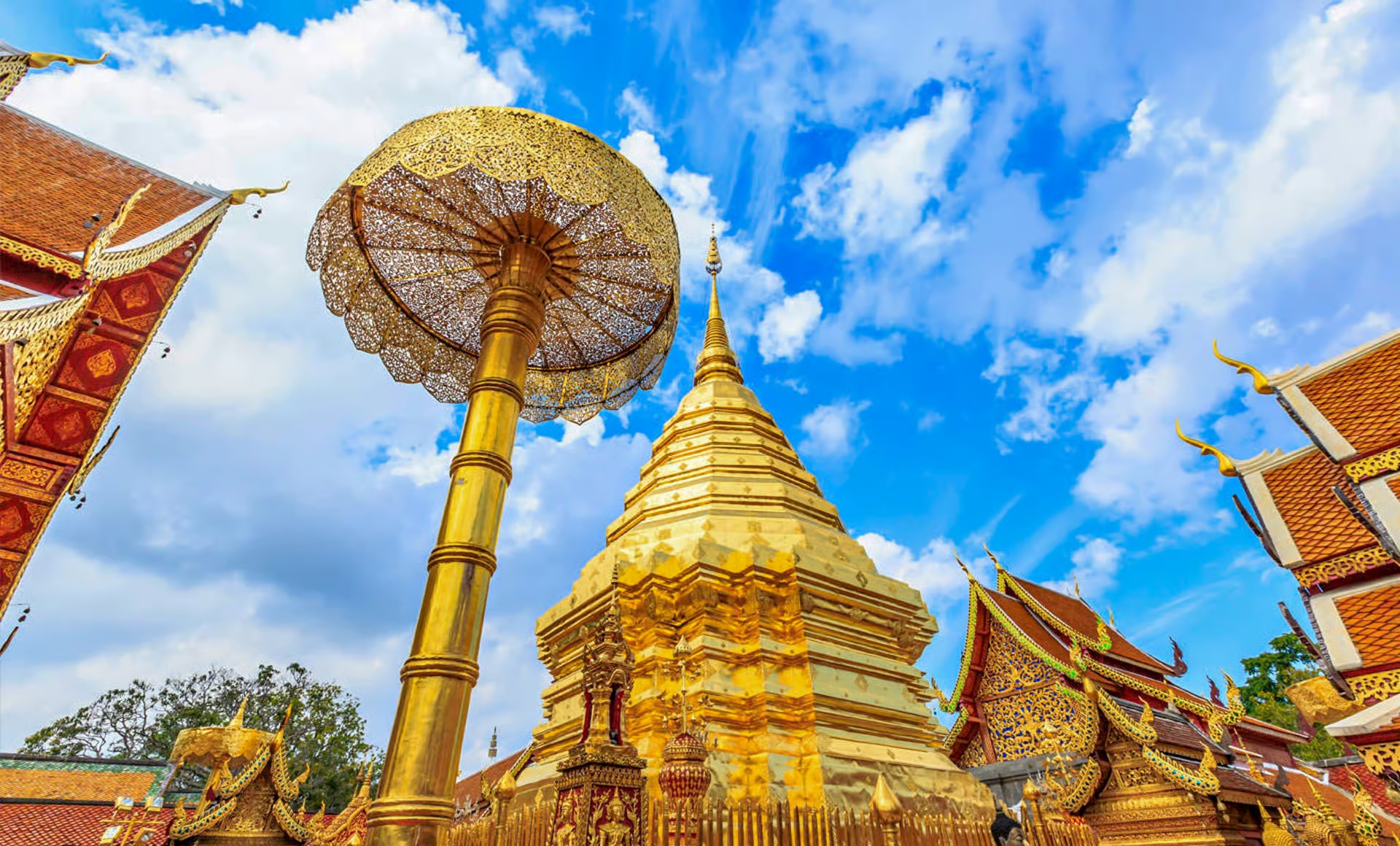 Day Tour Doi Suthep and Wat Umong Night Tour Plus, visit Wat Pa Lad