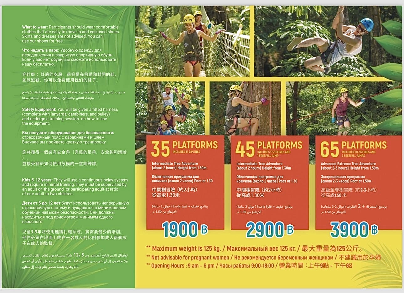 Jungle Extreme Zipline adventure