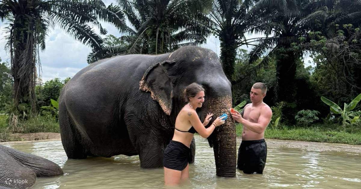 Krabi Elephant Green Sanctuary