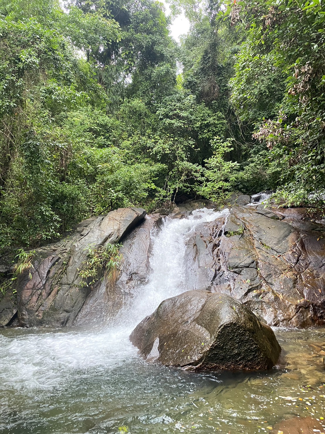 Bamboo rafting 